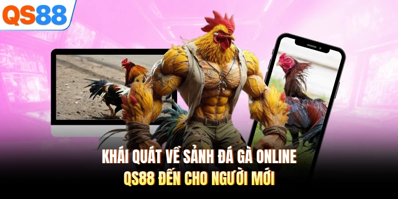 Khái quát về sảnh đá gà online QS88 đến cho người mới 