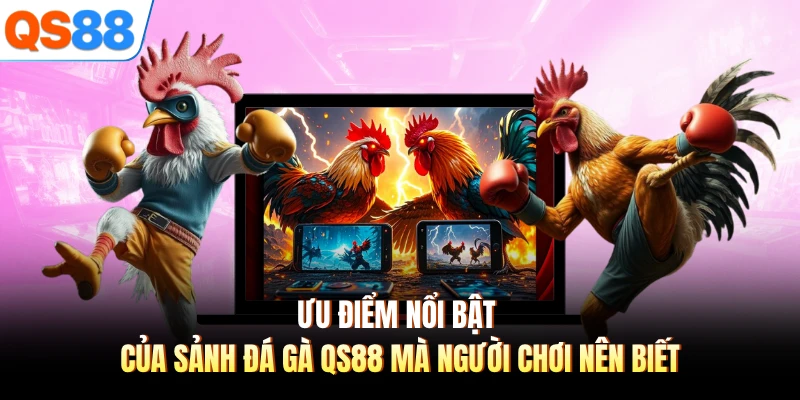 Ưu điểm nổi bật của sảnh đá gà QS88 mà người chơi nên biết 